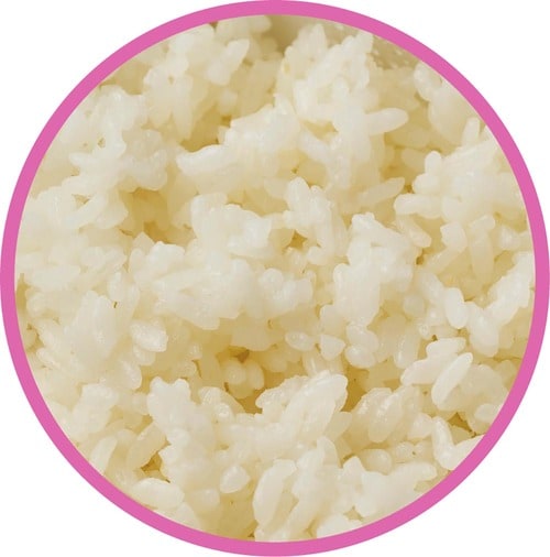 下側がややベチャッとなる ご飯冷凍容器おすすめ イメージ