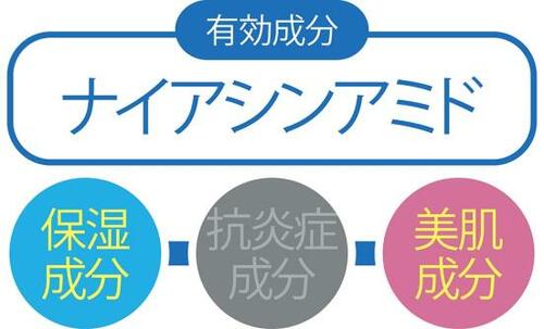 テスト2:成分