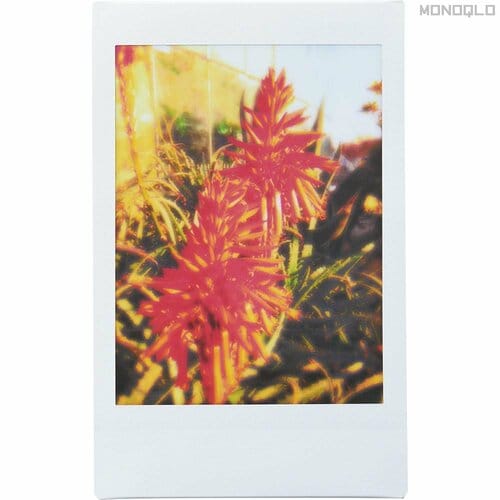 「レンズ:ソフトフォーカス」×「フィルム:レトロ」 インスタントカメラおすすめ イメージ