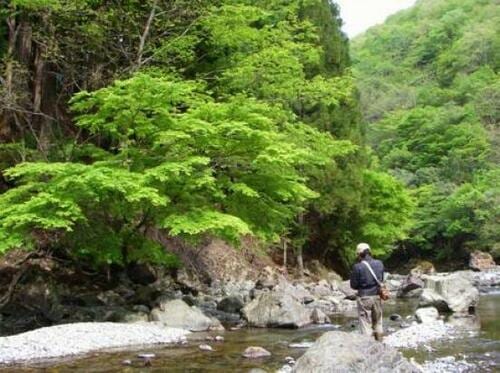 ネイティブトラウトが釣れる時期は?