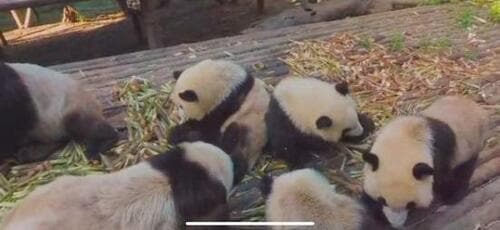 「Oculus Quest 2」で前代未聞の没入感を！ イメージ