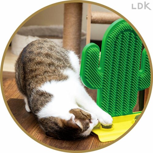 付着した毛の除去はちょっと面倒 猫のセルフグルーミンググッズおすすめ イメージ2