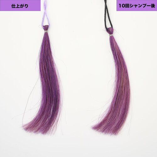 見たままのはっきりした発色 パープル（紫）のヘアカラーおすすめ イメージ2