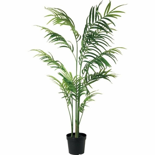 イケア「フェイカ人工観葉植物/ケンチャヤシ」 イメージ