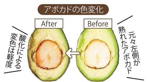 アボカドの変化 真空保存容器おすすめ イメージ