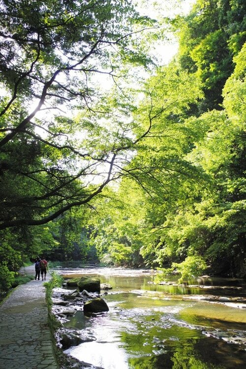 【エントリークラス】アウトドアシーンに最適高い防塵・防滴仕様の1台 イメージ