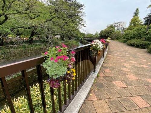 カメラも進化！1000万画素の“超広角”で風景がより伝わる写真に イメージ