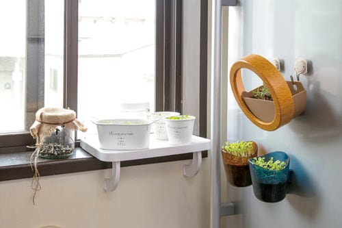 キッチン半畳のスペースで家庭菜園が簡単にできます イメージ