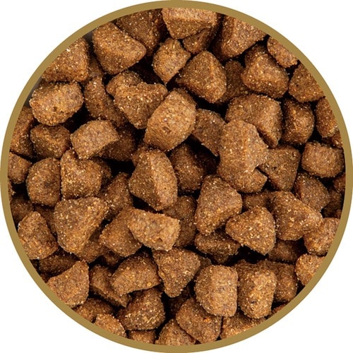 猫用ドライフードおすすめ トリッコインターナショナル アンブロシア キャット トラウト&ラビット イメージ2