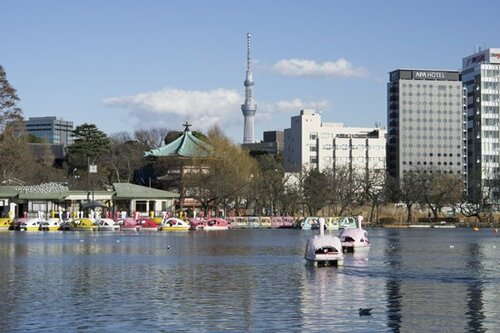 風景撮影で遠景の解像力をチェック!