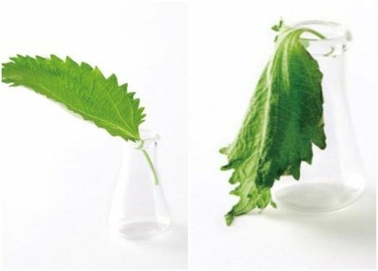 【LDK】最強ラップは鮮度キープ力がすごい！ “ガチ”比較で見つけたおすすめは？