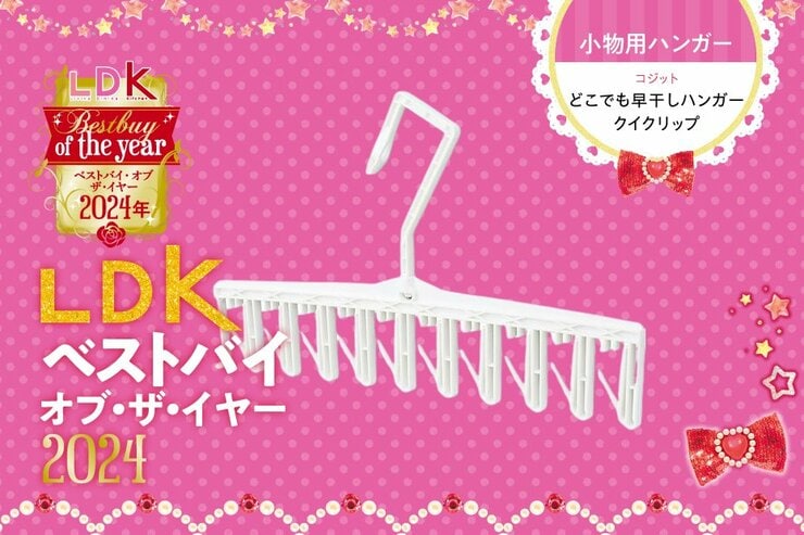 洗濯物干しは小物がめんどくさい！→差すだけで最強ラクなコジットに替えてみて【LDKベストバイ】