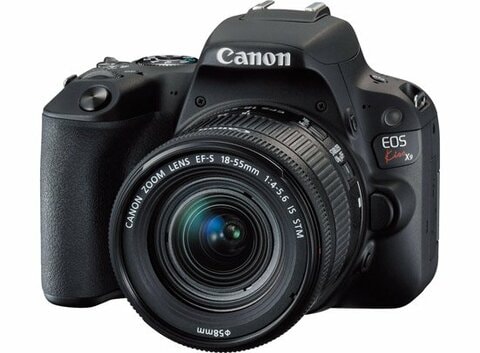 キヤノン、ニコンがまさかの結果…「初心者用一眼レフ」ランキング6選