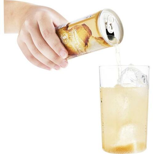 「オーガニックジンジャーエール」のジンジャー感は本物 イメージ3