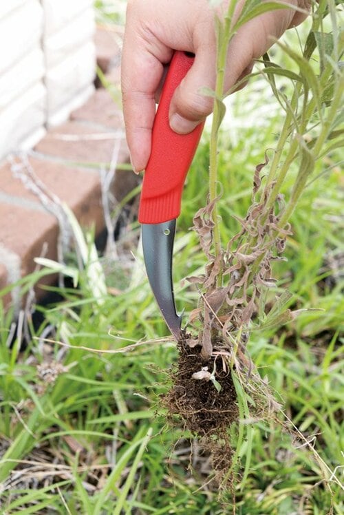 差し込んで引き抜くだけでカンタンに除草できる