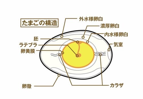【Q6】「カラザ」って一体何なの？ イメージ