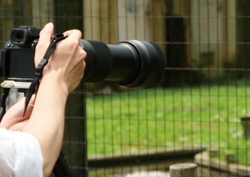パナソニック「LUMIX S5」4