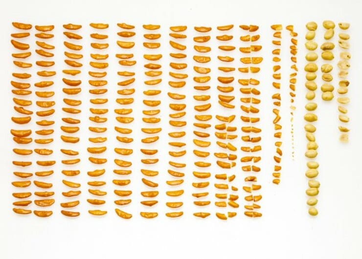 【ダイソーvs亀田製菓】どっちがお得？ 柿ピーを一粒ずつ数えてみました