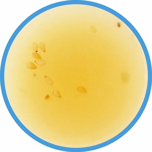 焼肉のたれおすすめ キッコーマン わが家は焼肉屋さん 香味野菜たっぷり塩だれ イメージ2