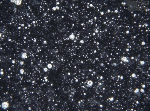 ＜表面拡大(倍率：160倍)＞ ペーパーライクフィルムiPad用保護フィルムおすすめ イメージ