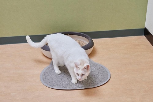 ココがスゴい:キャッチした砂をササッと捨てられる イメージ2