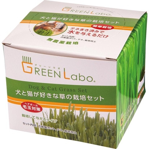 猫草のおすすめランキング7選。LDKがカインズ、無印などで買える人気の