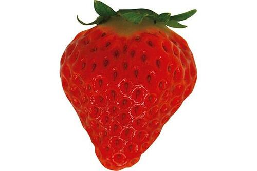 甘さ・食感・香りは品種によって違いがあります イメージ3