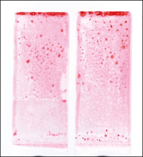 洗浄力 ボディソープおすすめ イメージ