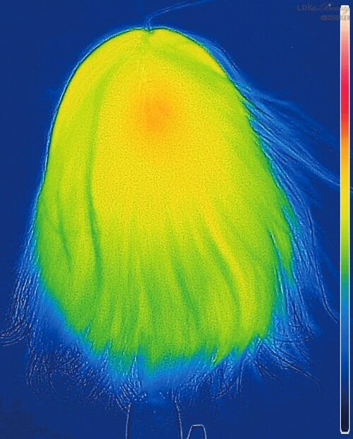 速乾性：低温の温風でドライ ドライヤーおすすめ イメージ