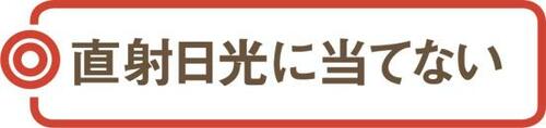 木製まな板をより長持ちさせる3つのテクニックを大公開!