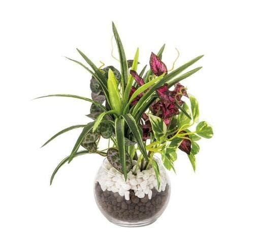 ニトリ「グリーン寄せ植え ガラスポット」 イメージ