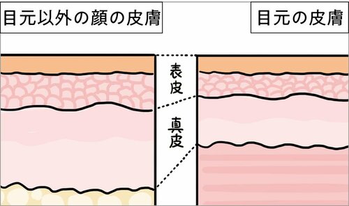 目のまわりの細かいシワのケア方法は？ アイクリームおすすめ イメージ
