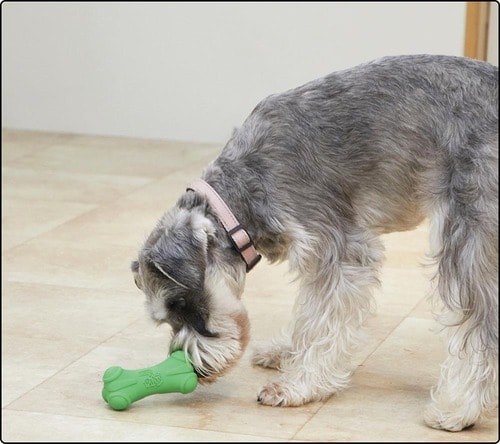 予想不可能な動きが犬ゴコロをくすぐる 犬用おもちゃおすすめ イメージ