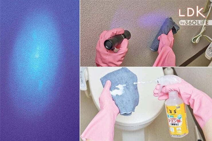 トイレの壁・床の尿汚れをブラックライト&クエン酸で撃退！ 感動のお掃除方法とは？【LDK大掃除】