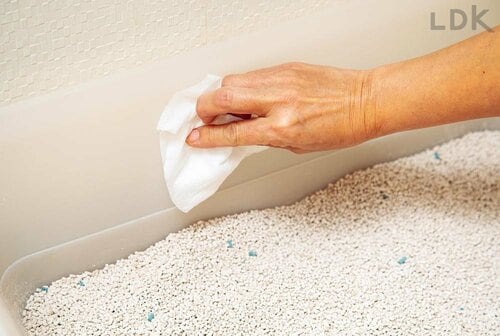 テスト3:手入れのしやすさ 大型の猫トイレおすすめ イメージ