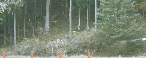 テスト結果 クマ撃退スプレーおすすめ イメージ