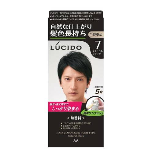 白髪染めおすすめ ルシード ワンプッシュケアカラー ナチュラルブラック イメージ1
