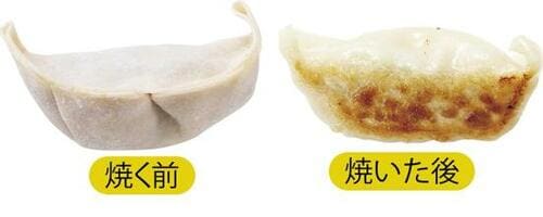 【北海道】具がジューシーで皮が旨い!「天のびろく」 餃子おすすめ イメージ3