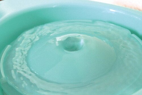 トイレやお風呂の水を飲む猫に試す価値あり!
