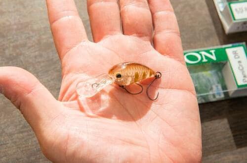 【第1位】安定した泳ぎで魚の食い気を高める「パニクラ」